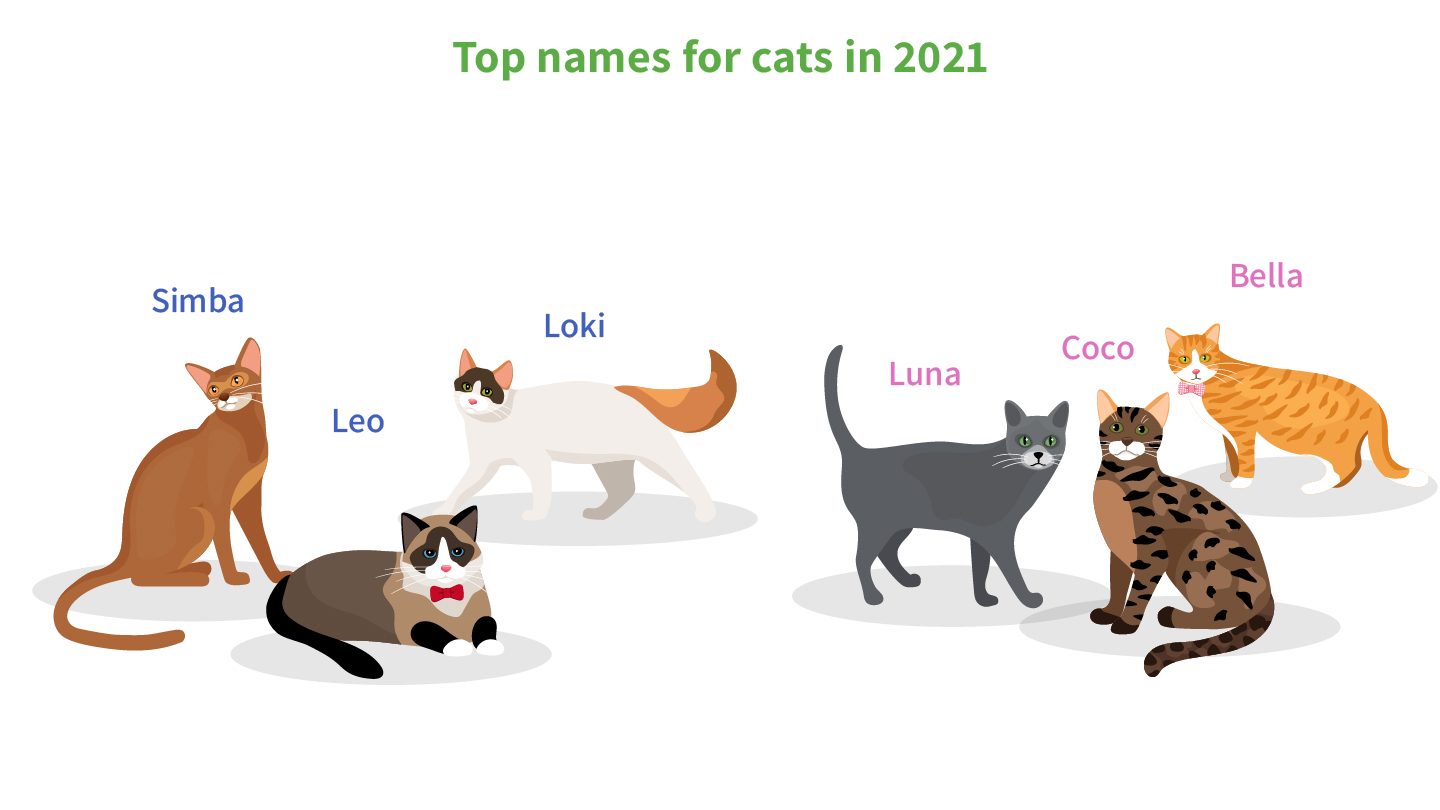 What are the most popular pet names of 2021? Pet Insurance Australia